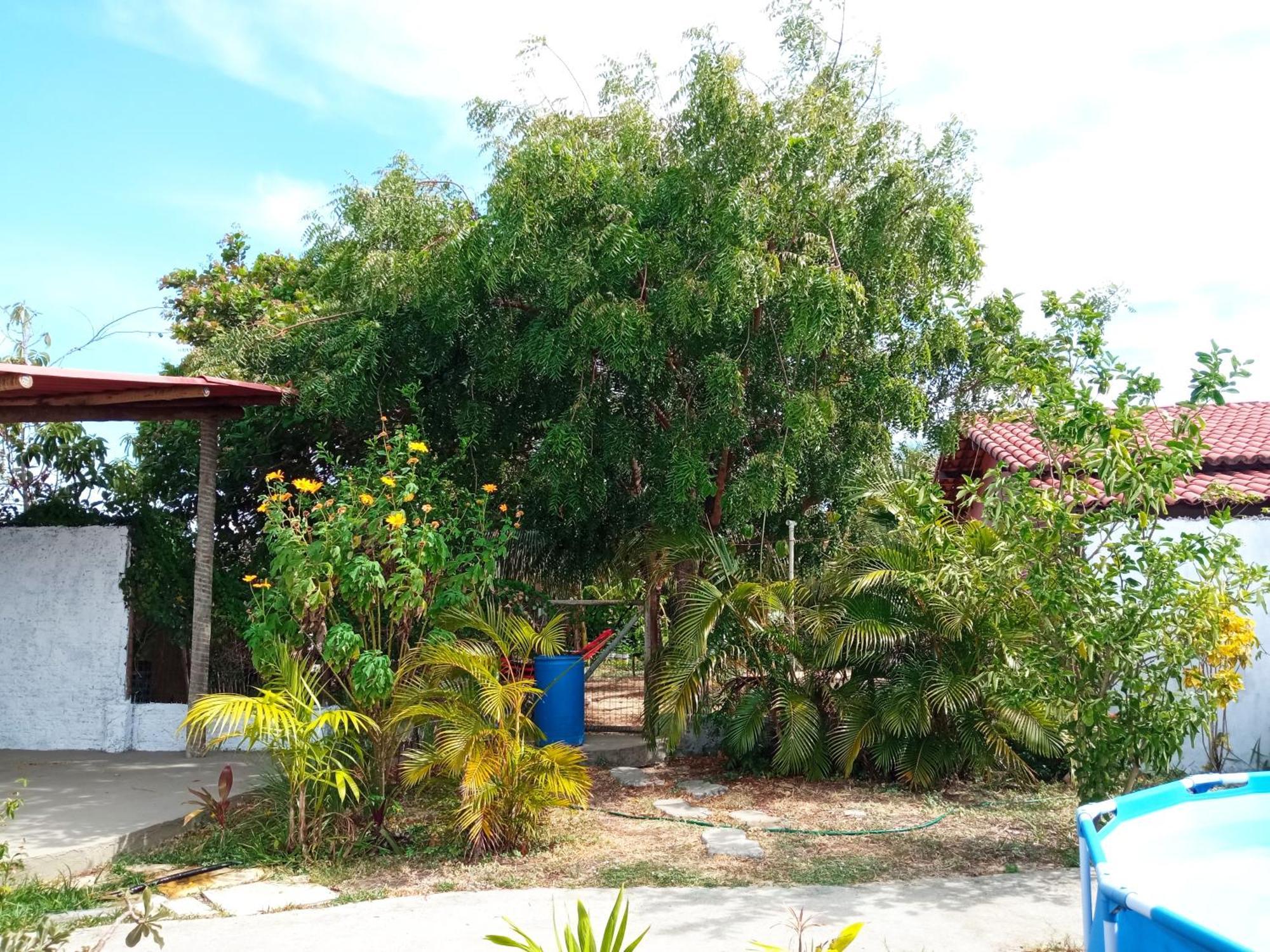 Casa Inti De Maracajau Βίλα Εξωτερικό φωτογραφία